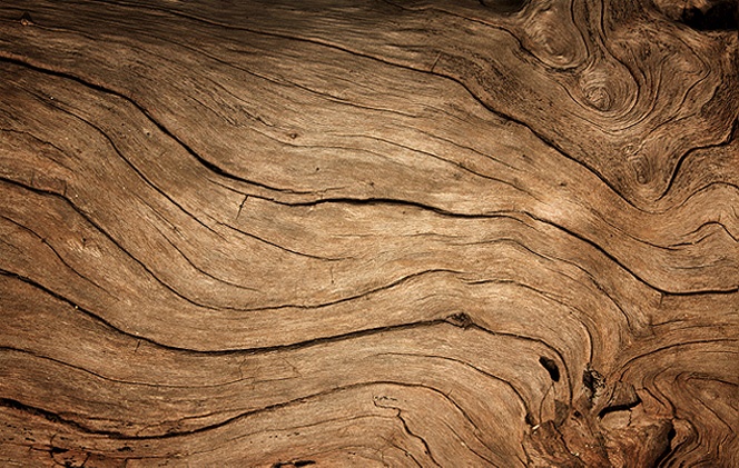 以木為源，以人為本