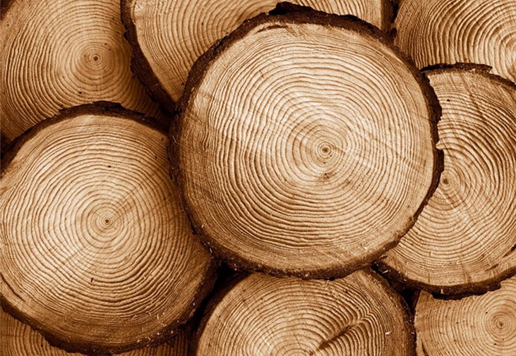 設(shè)計(jì)定制